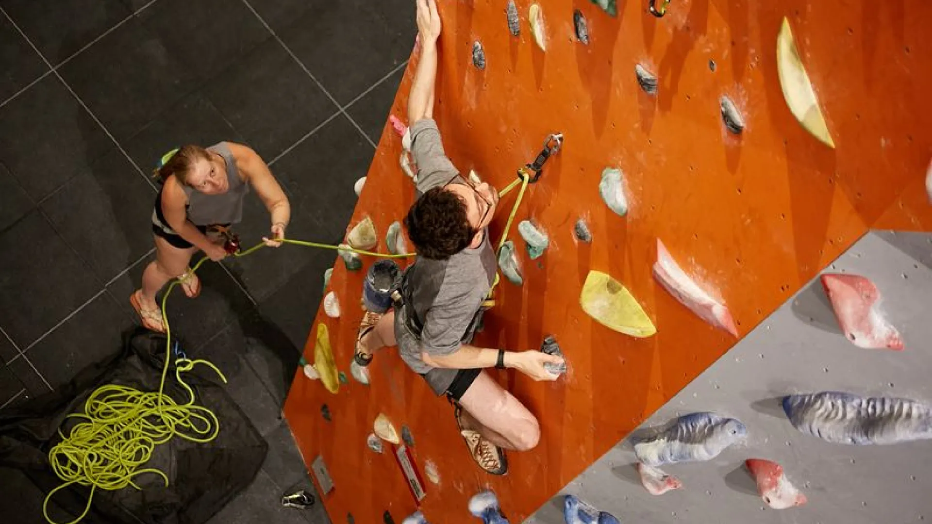 Development Coaching