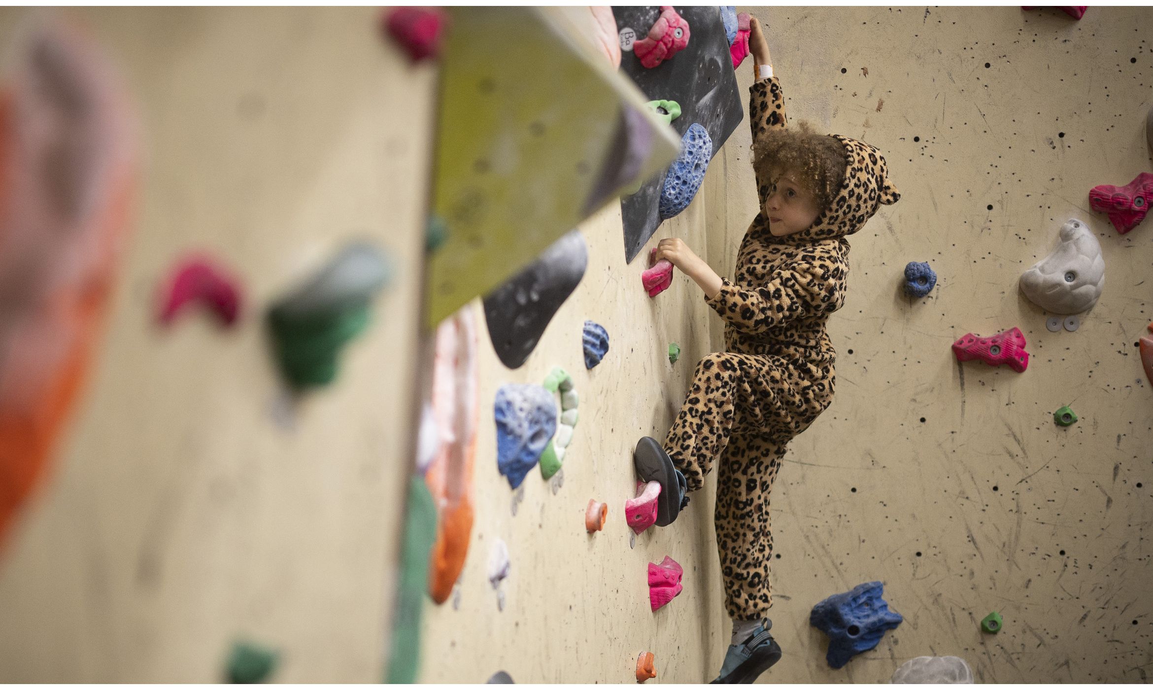 The Reach Climbing Centre